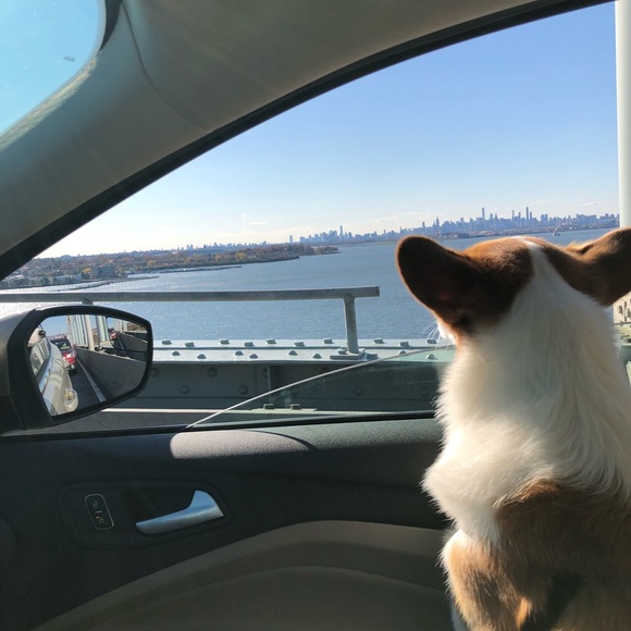 Meet your Posher, James - Picture 1 of 1